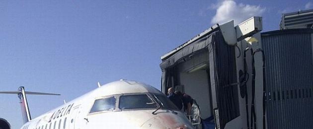 Птица попала в двигатель самолета сборной саудовской аравии. Что происходит, когда птицы врезаются в самолет Попадание птицы в самолет