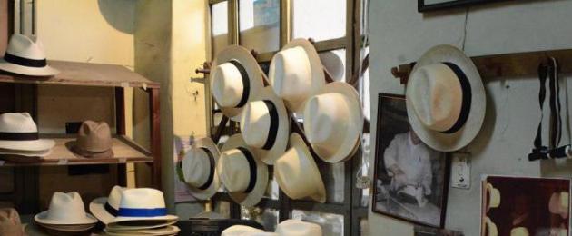 В какой стране изобрели панамы - легкие соломенные шляпы. Панама – головной убор В какой стране головной убор называется панама